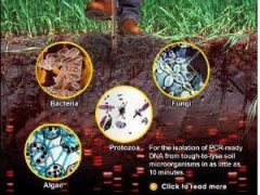 土壤微生物的作用----中国科学院带农业生态研究