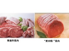 中国科学院带农业生态研究所揭示瘦肉精