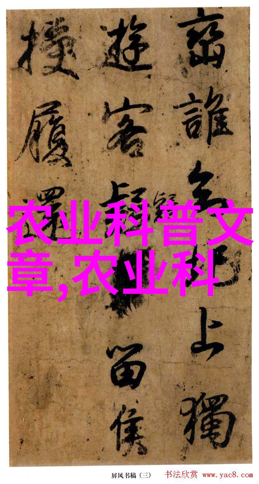 秋冬萝卜栽培技术-