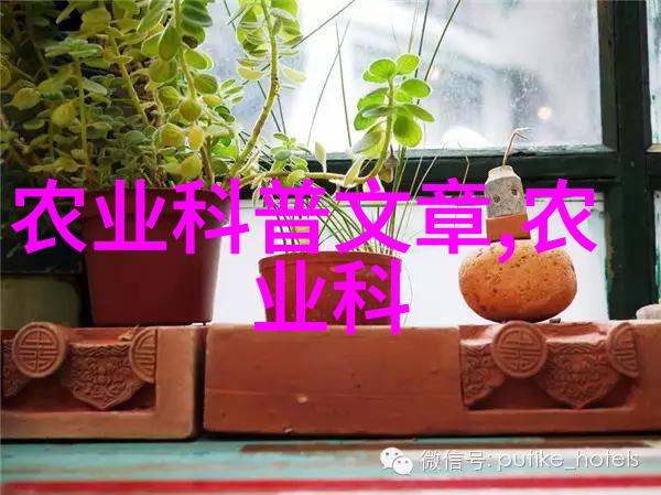 麦类种子处理技术-